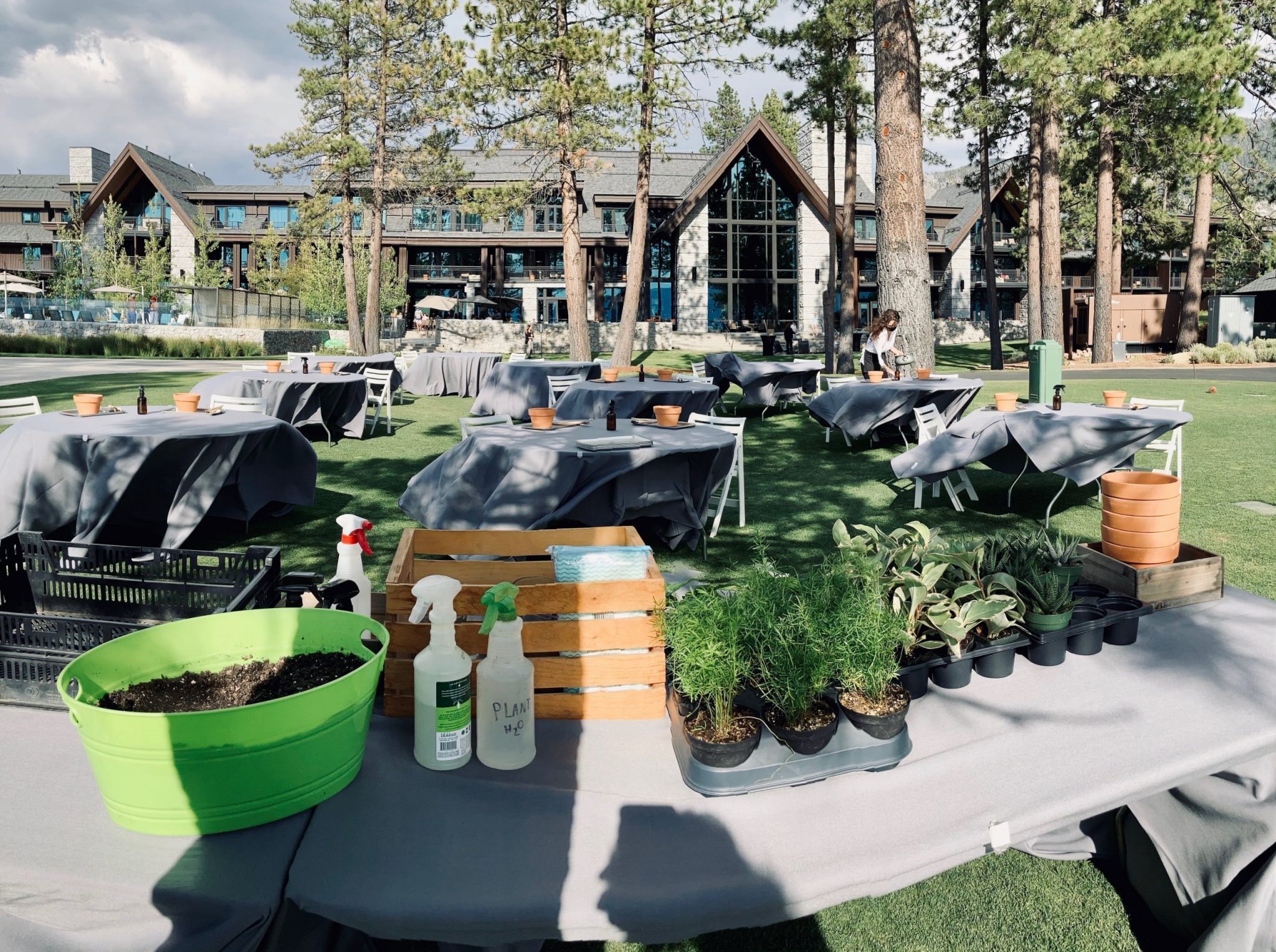 Plant and Sip Edgewood Tahoe Resort