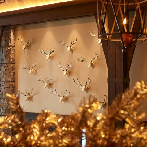 Interior decor of lodge with deer wall display.