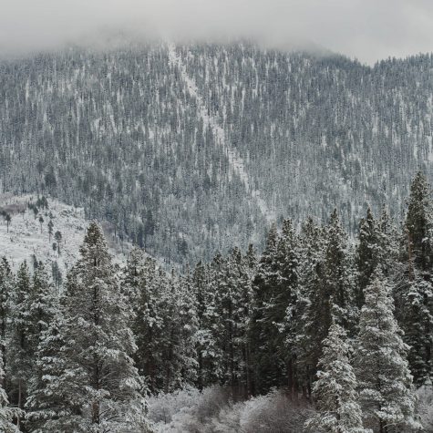 Snow covered trees and mountains at Edgewood Tahoe.